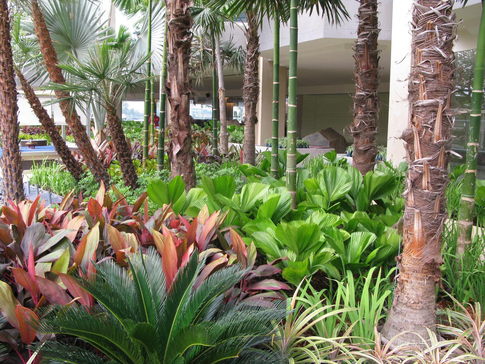 ดูแลสวนหมู่บ้าน