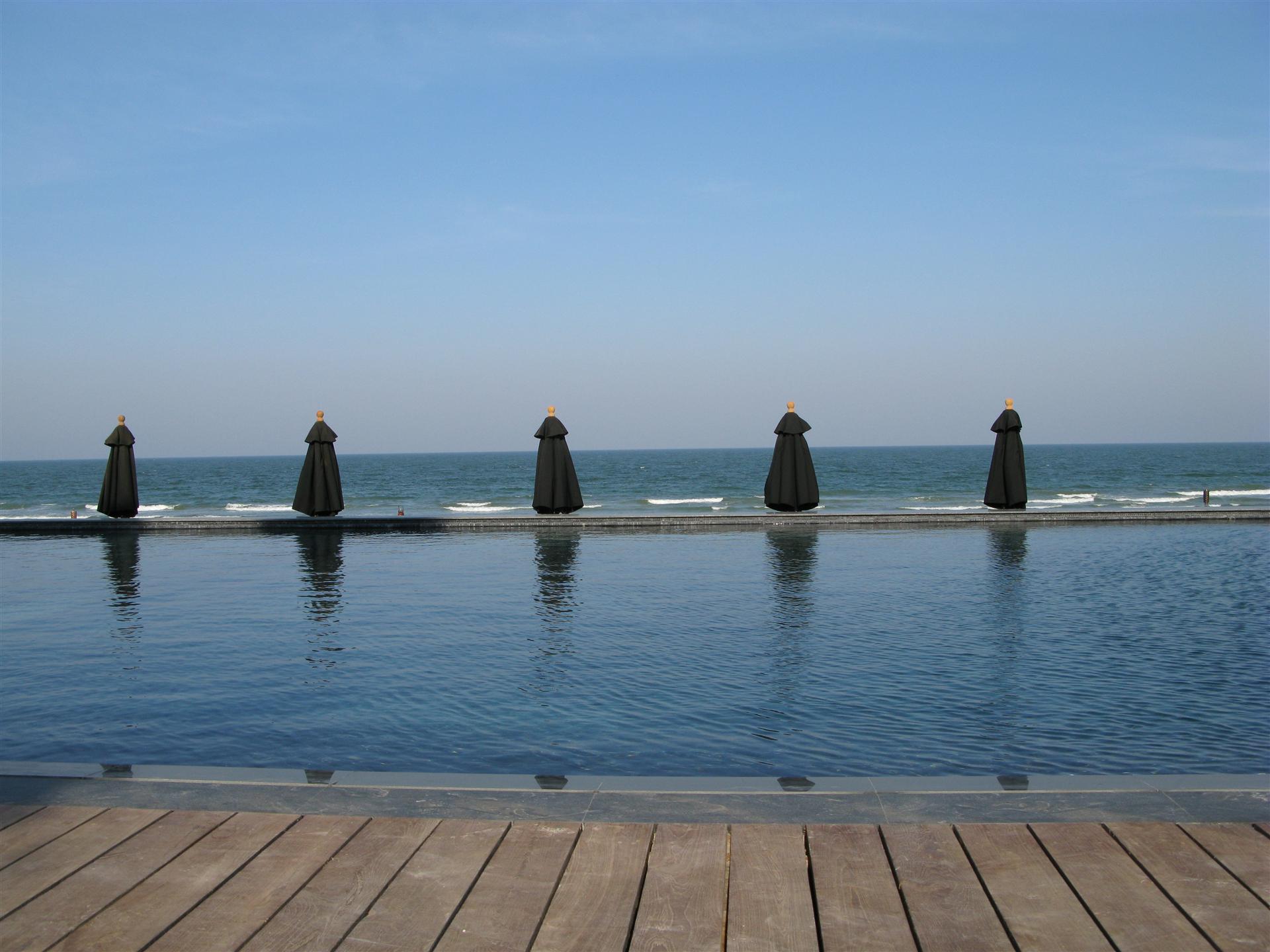 ตัดแต่งไม้ใหญ่